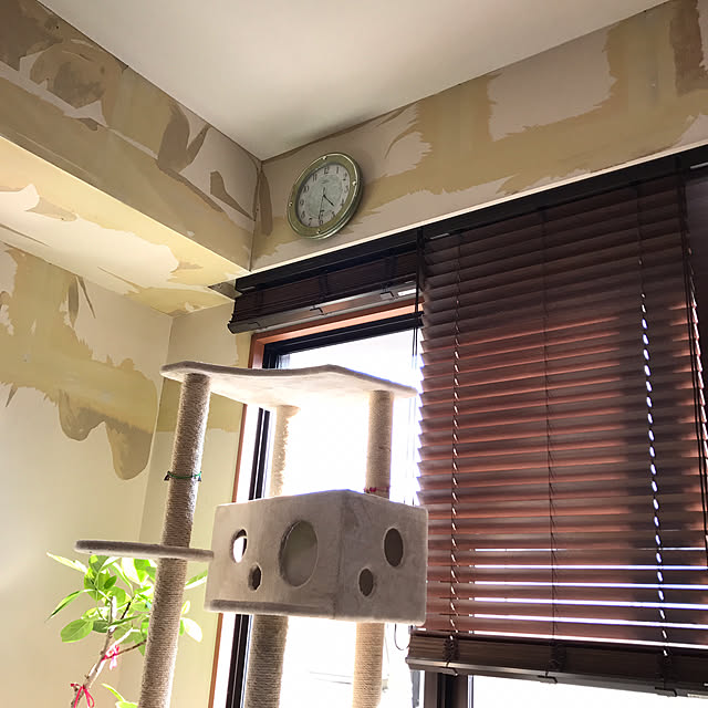 noikoさんの実例写真