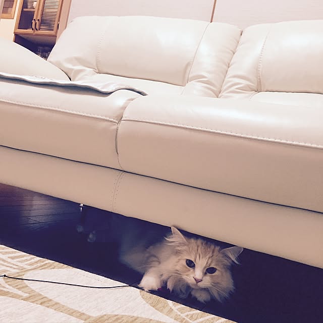 favorlyさんの実例写真