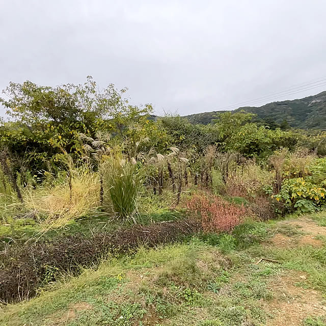 Vakiさんの実例写真