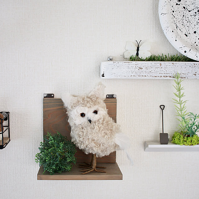Kaneyukiさんの実例写真