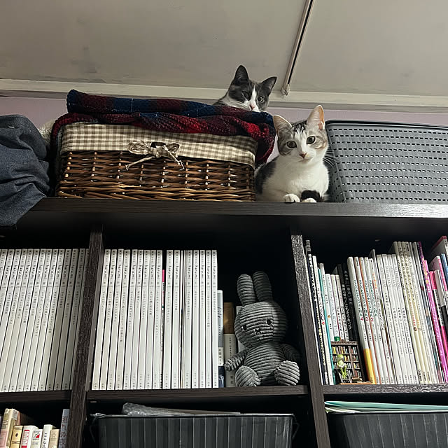 RUNRUNさんの実例写真