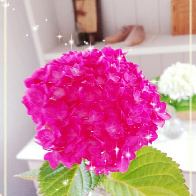 tommy93さんの実例写真