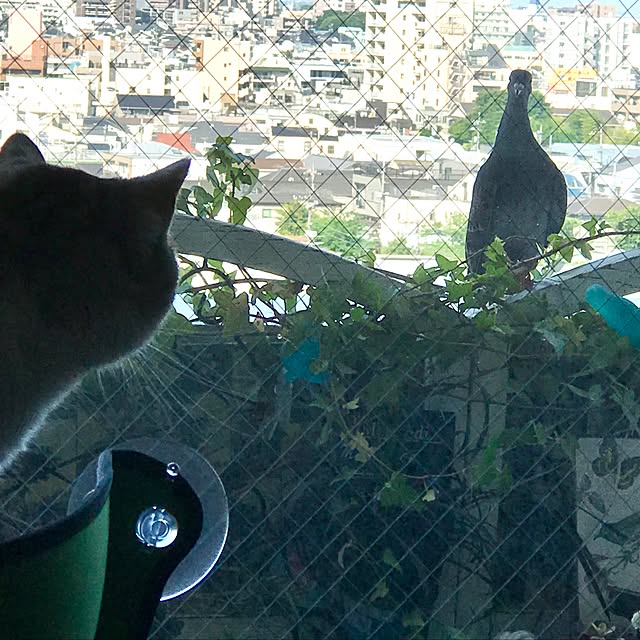 emmyyさんの実例写真