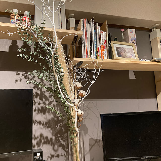 shimizuさんの部屋