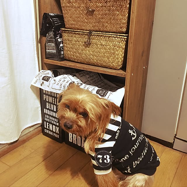 chimiさんの実例写真