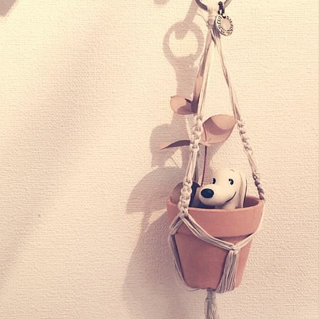 Shigekiさんの実例写真