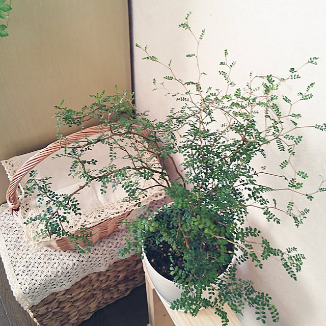 r.k.m.n_n.3.4.5さんの実例写真