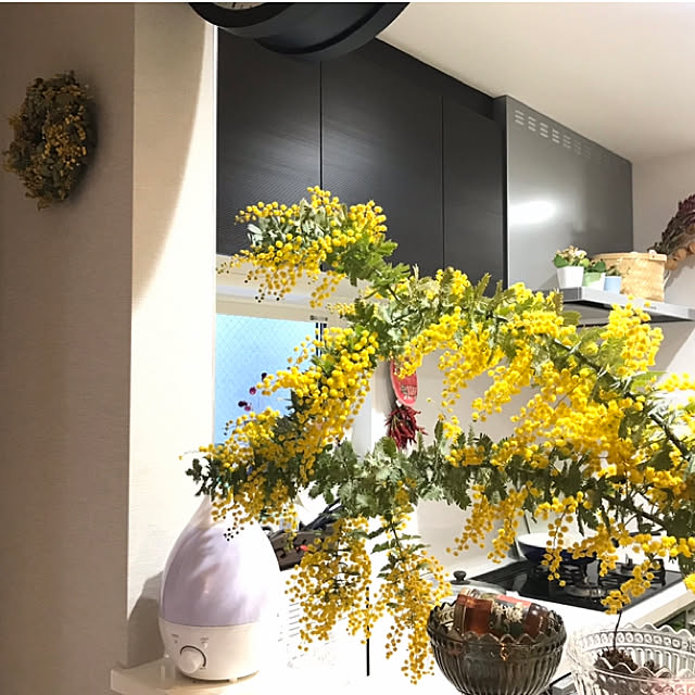 ha1111noさんの実例写真