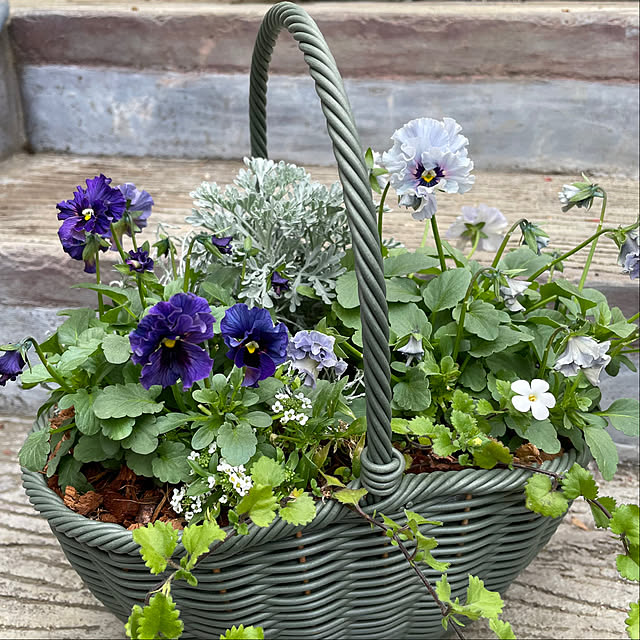 shiropenguinさんの実例写真