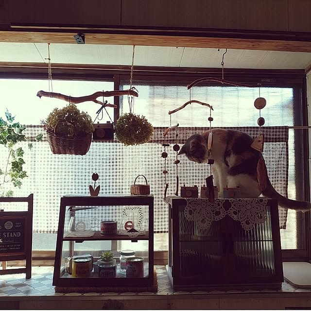 fukuさんの実例写真