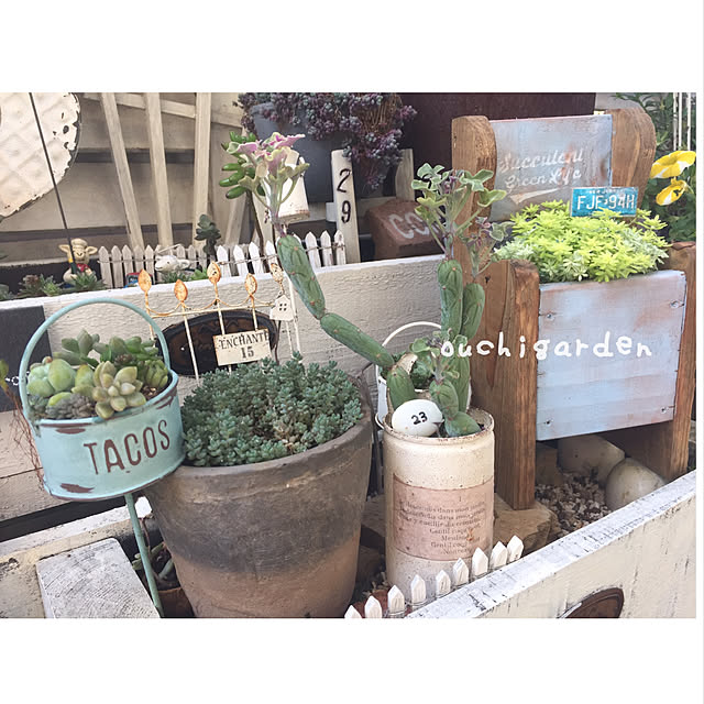 kurumichocoさんの実例写真