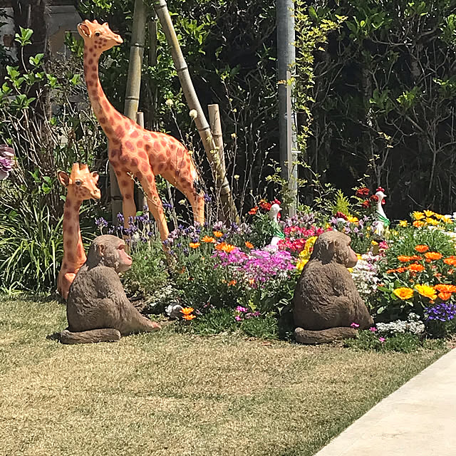 実例写真