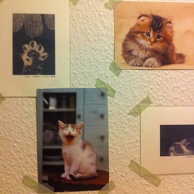 Rieさんの実例写真