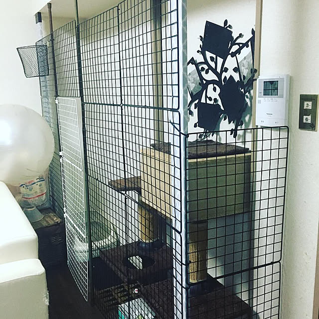 Kanaさんの実例写真