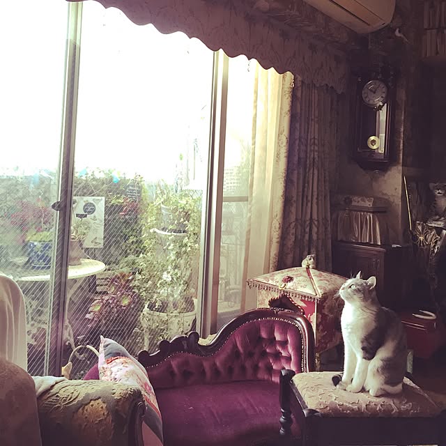 emmyyさんの実例写真