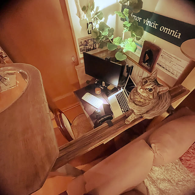 Mさんの部屋