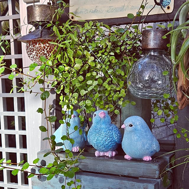 mocomocoさんの部屋