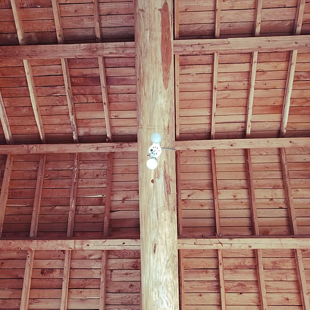 higemanさんの実例写真