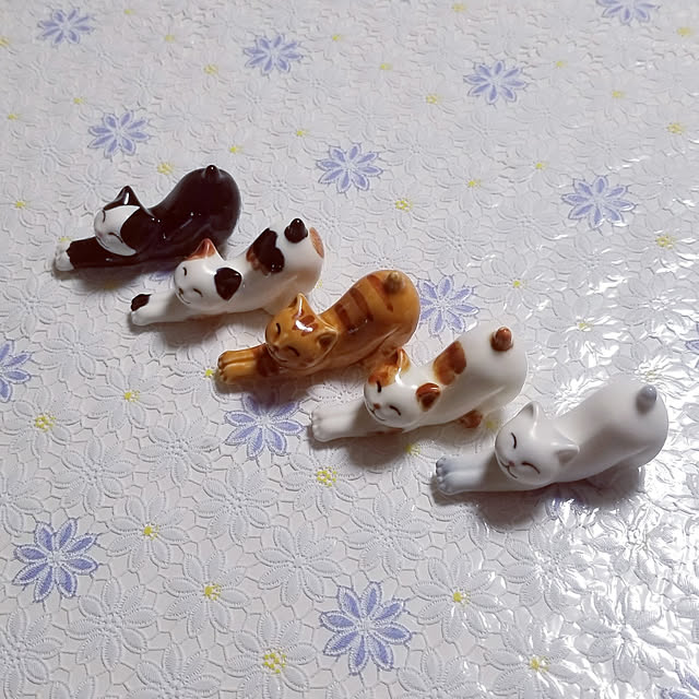 takoさんの実例写真