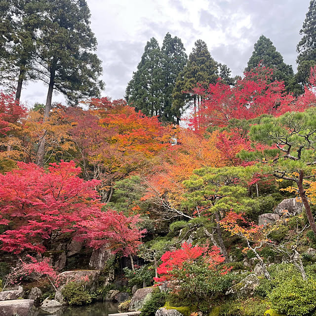 kuikoさんの部屋