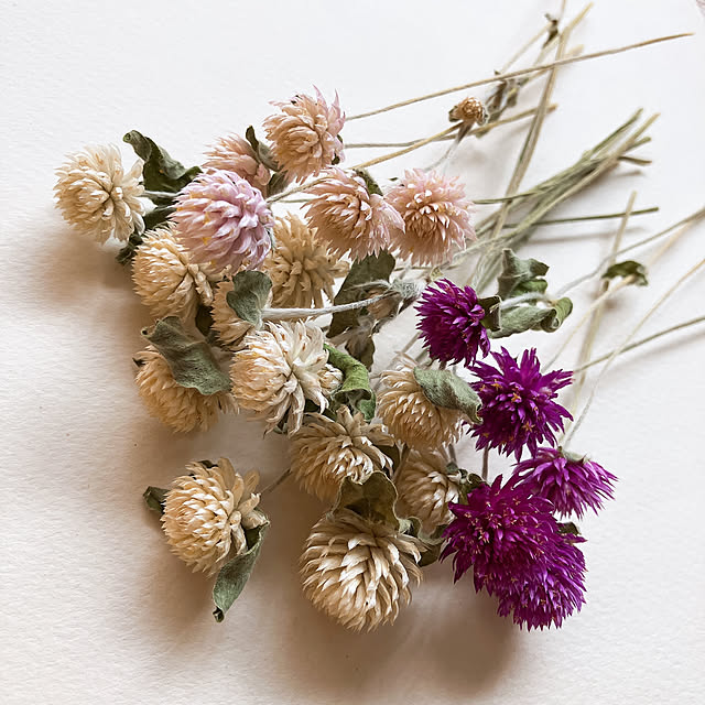 kiiroikumaさんの部屋