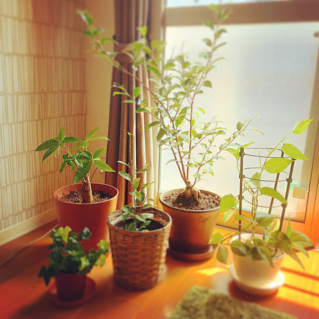 takahiroさんの実例写真