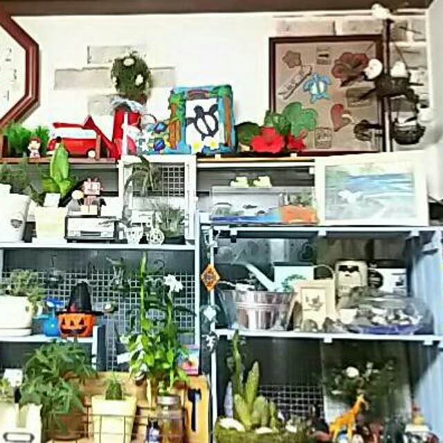 atukoさんの実例写真