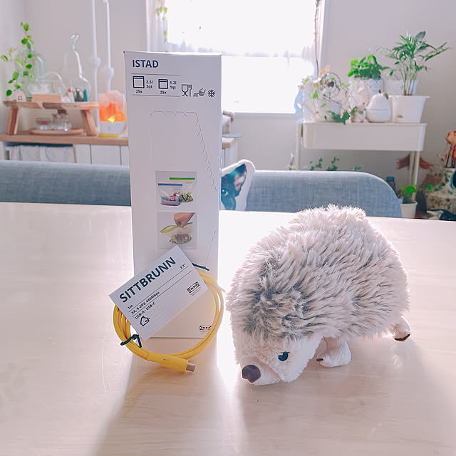 akiko-ovさんの部屋