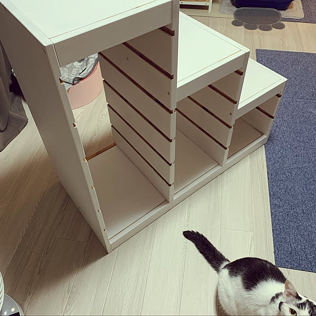Yukikoさんの実例写真