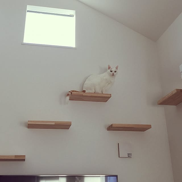 Minakoさんの実例写真