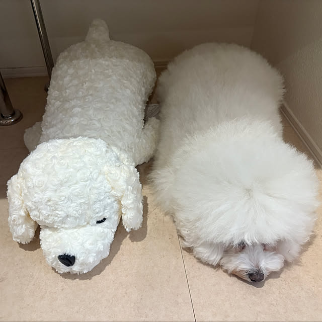 fuafuaさんの部屋