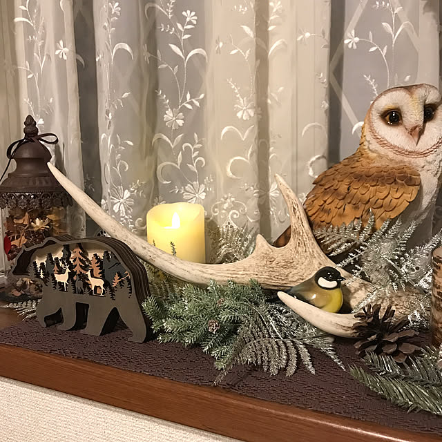 Anne_Yukiyanagiさんの部屋