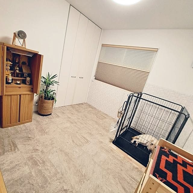 mihiroさんの部屋