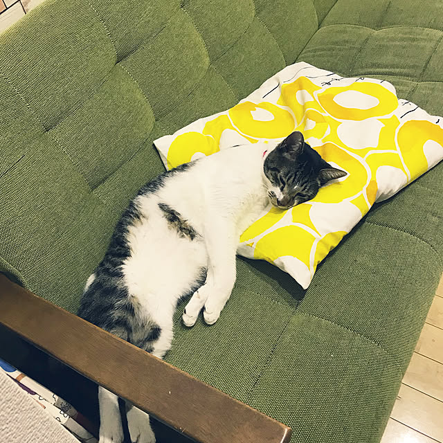 ベッド周り/インテリアじゃなくてごめんなさい/クッションカバー/ソフア/ねこのいる日常...などのインテリア実例 - 2018-09-19 16:13:32