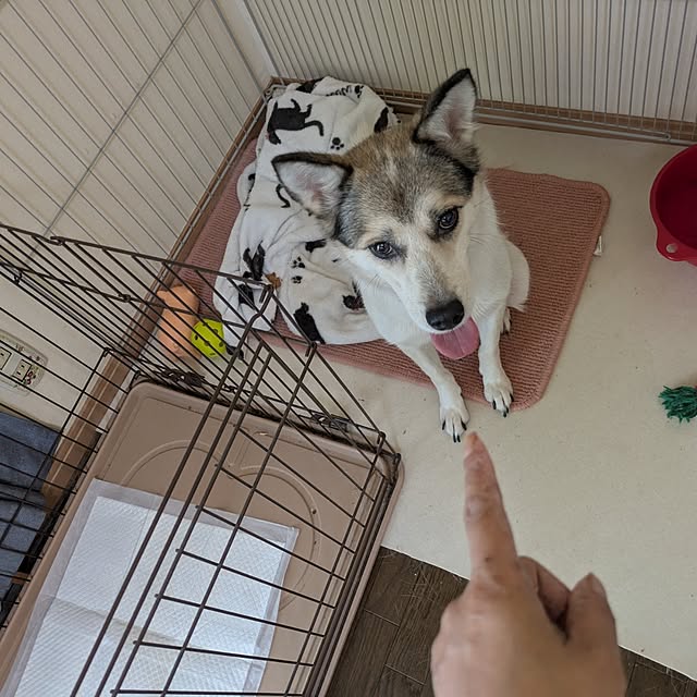 asaさんの部屋