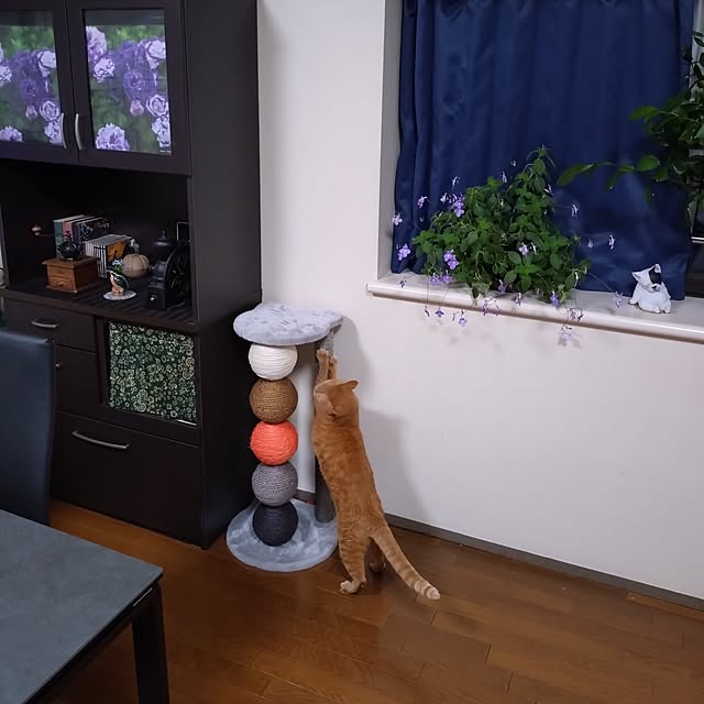 NOAHさんの部屋