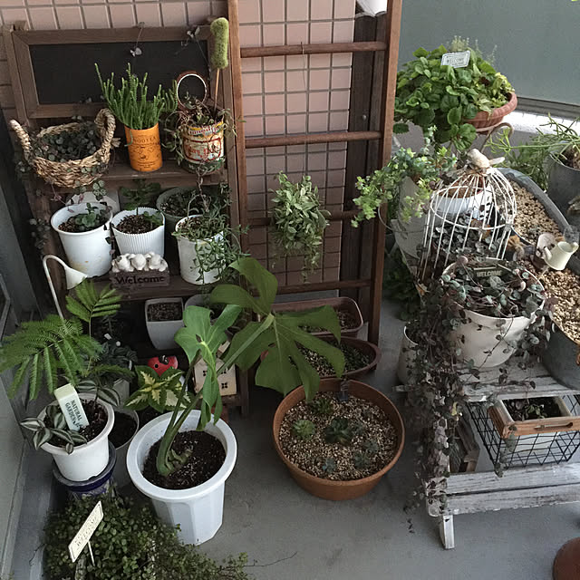 HKSさんの実例写真