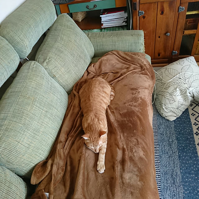 okyosan101さんの実例写真