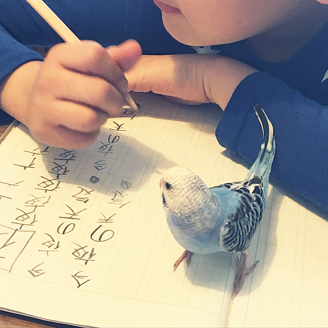 ohanaさんの実例写真