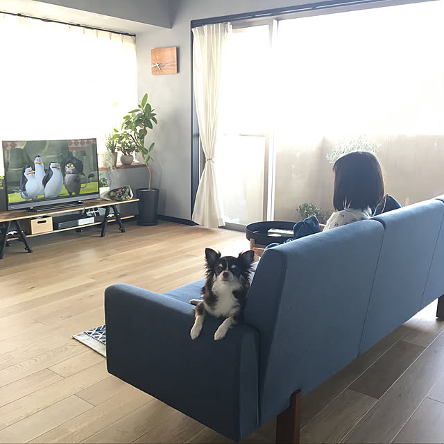 sakkiy37さんの実例写真