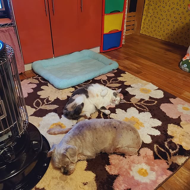 kumutanさんの部屋