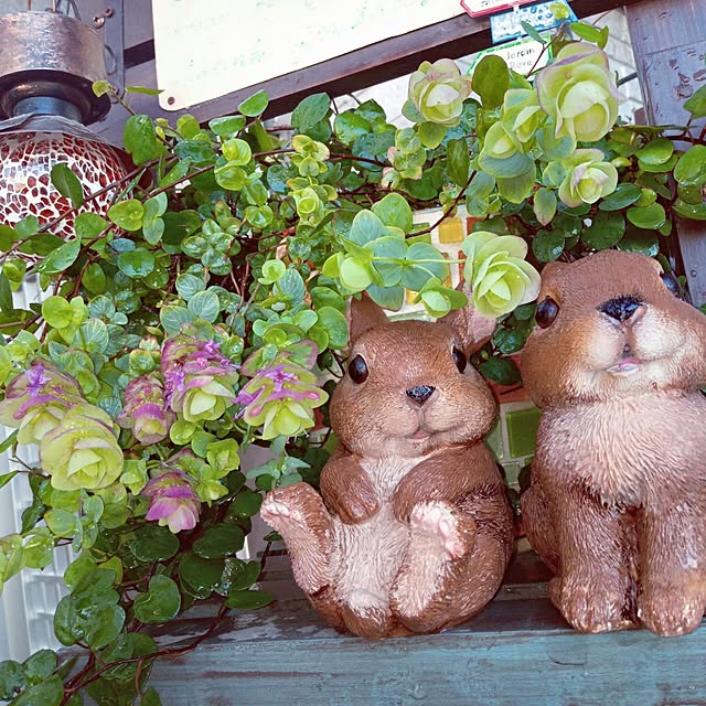 mocomocoさんの部屋