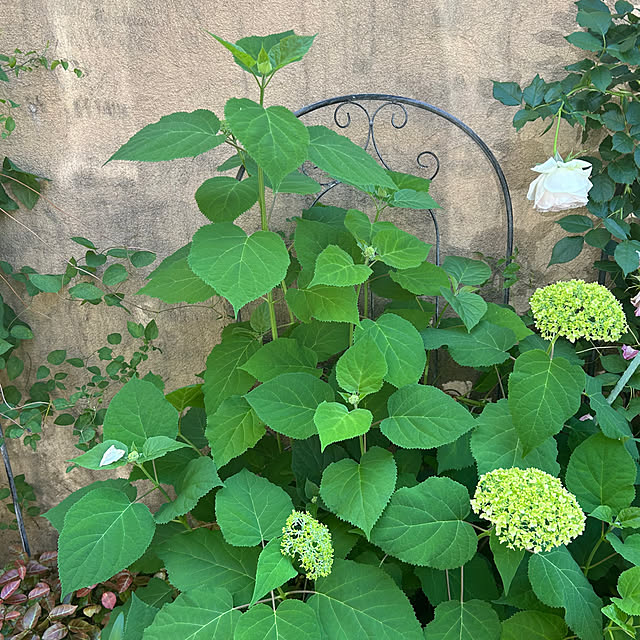 fumikoiさんの部屋