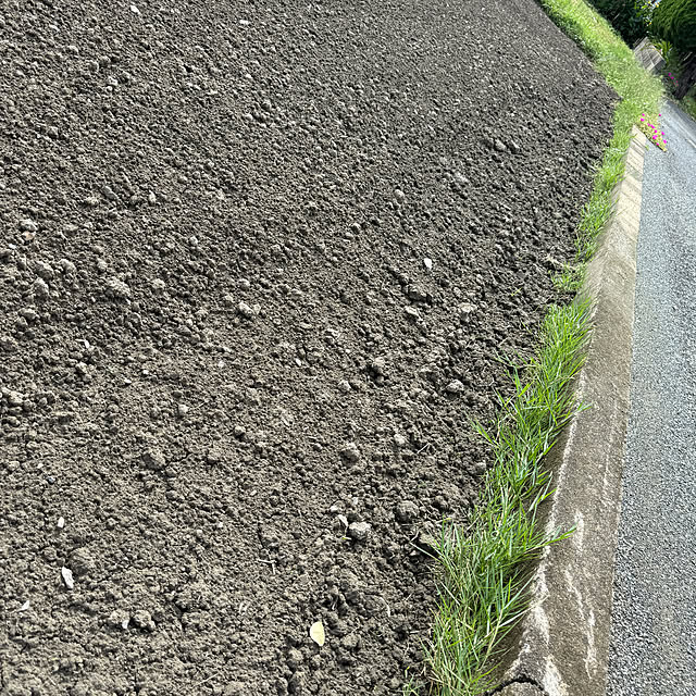 prelumoさんの実例写真