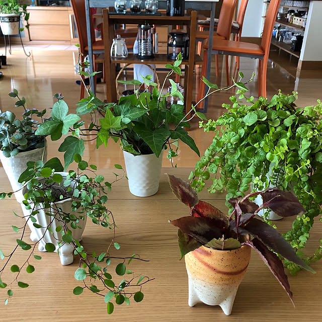 kekoさんの部屋