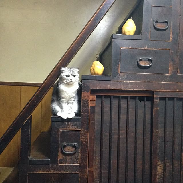 okisibasadaさんの実例写真