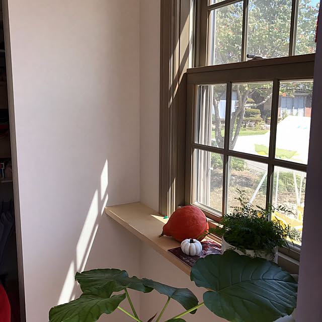muraさんの実例写真