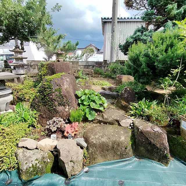 sumimarumiさんの部屋