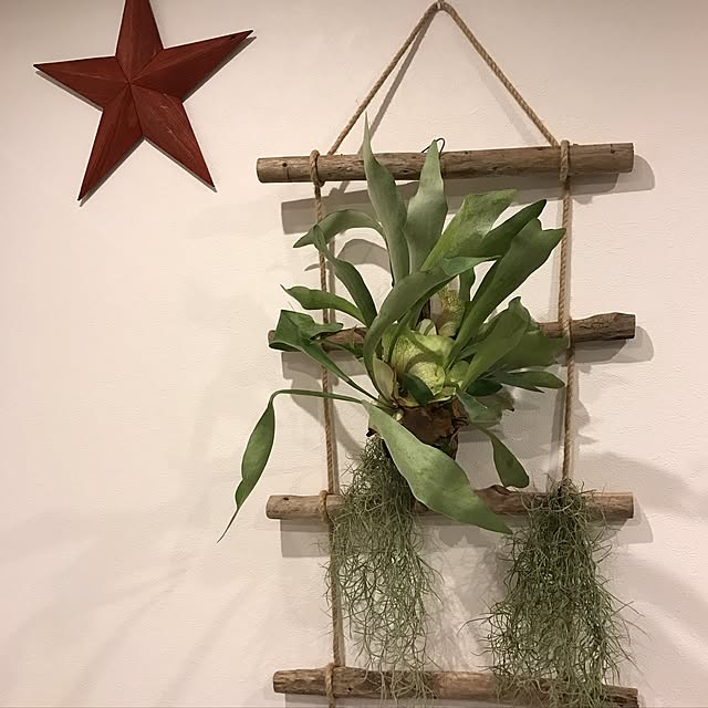 naokrockさんの実例写真