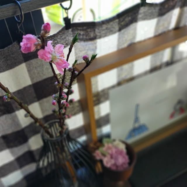michiさんの部屋
